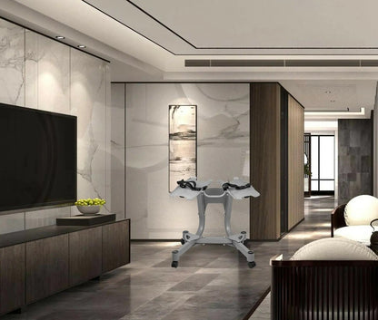 haltères réglables support dans un salon